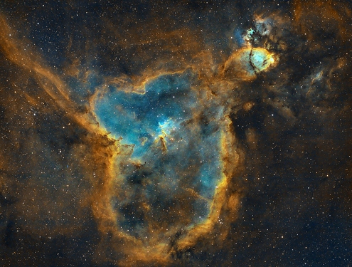 ic1805_sho_v1