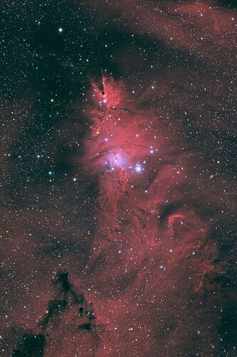 NGC2264_HLRGB_v1