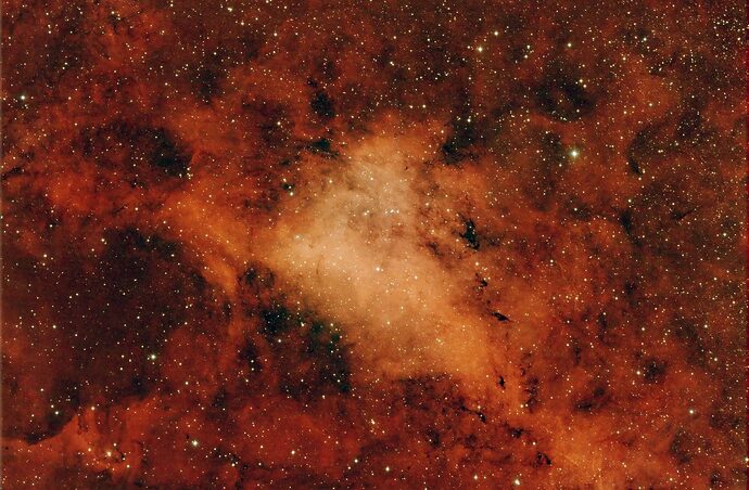 IC1318-Con Stelle Ridotts-