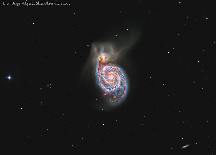 M51